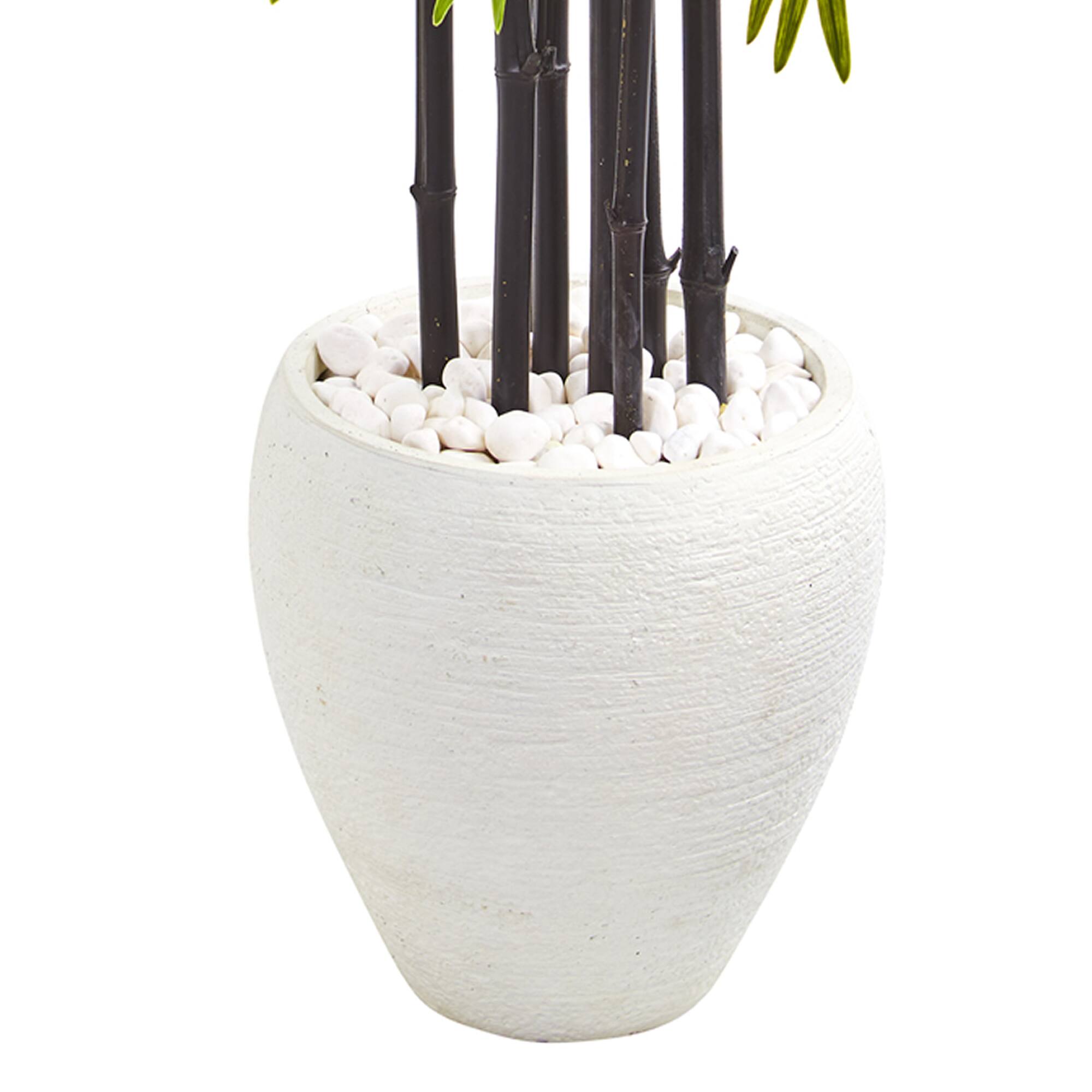 5ft. Bamboo Tree with Black Trunks in Decorative White Planter